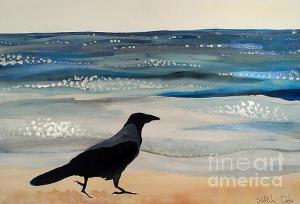 Featured 4times Hooded Crow at the Black Sea by Dora Hathazi Mendes