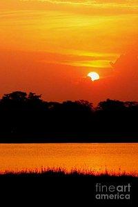 Featured African Sunset at Shire River in Malawi 02 photograph by Dora Hathazi Mendes